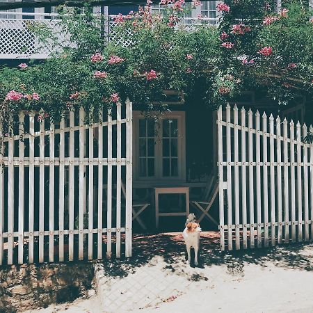 Nhà Tím Homestay Da Lat Exterior foto