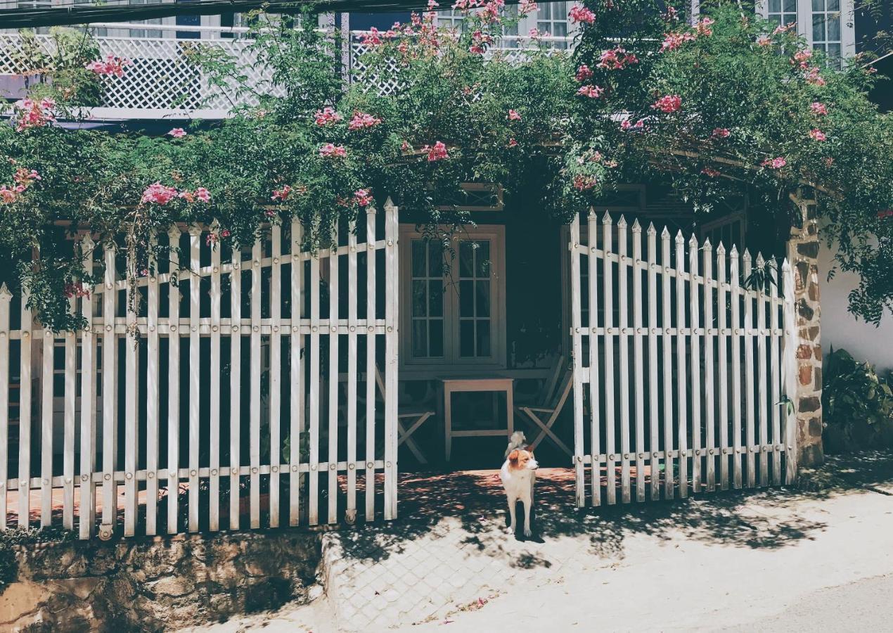 Nhà Tím Homestay Da Lat Exterior foto